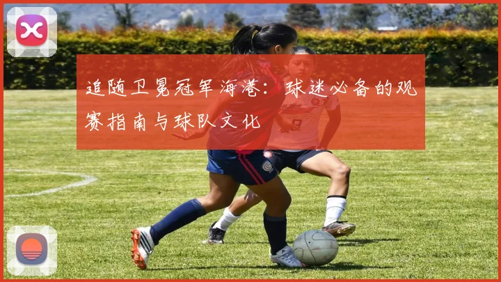 追随卫冕冠军海港:球迷必备的观赛指南与球队文化