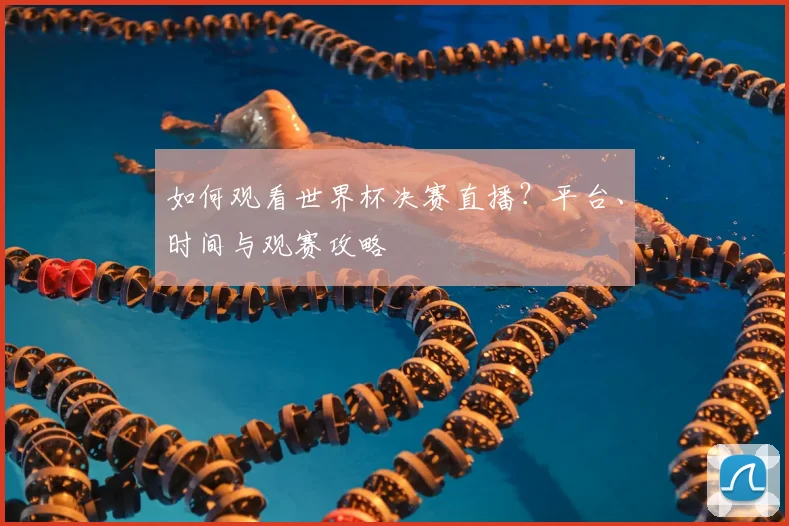 如何观看世界杯决赛直播?平台、时间与观赛攻略