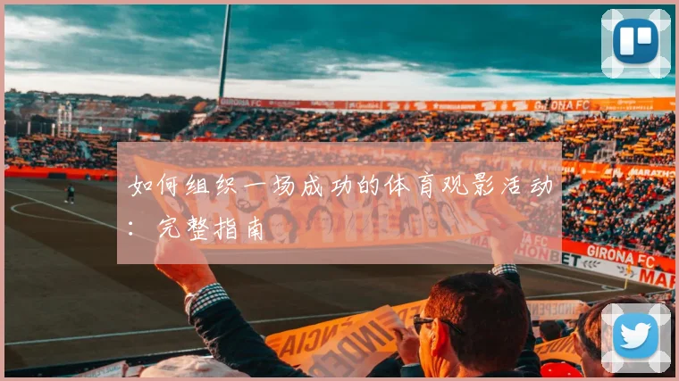 如何组织一场成功的体育观影活动:完整指南
